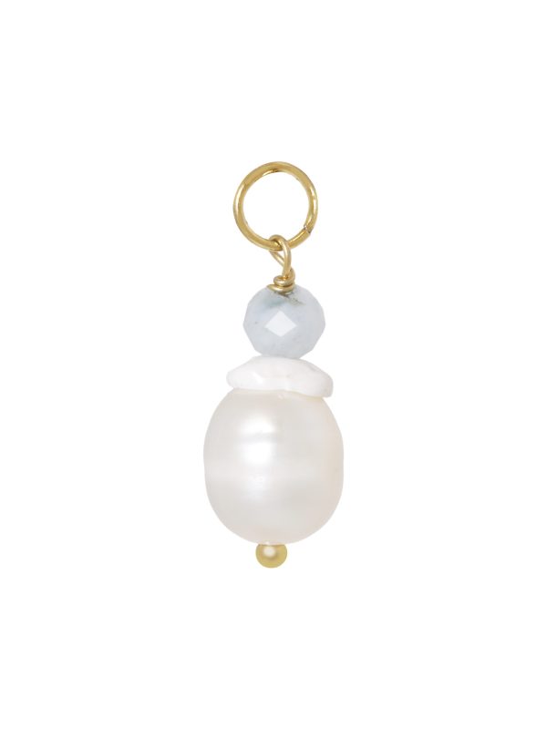 Nola | Charm [shell] [ID-634]