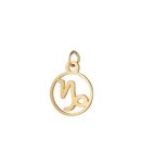 Nola | Charm horoscope Capricorn [ID-698]
